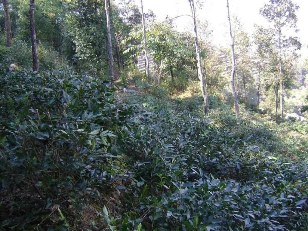 Mystique Highland Resort Pokhara Exterior foto