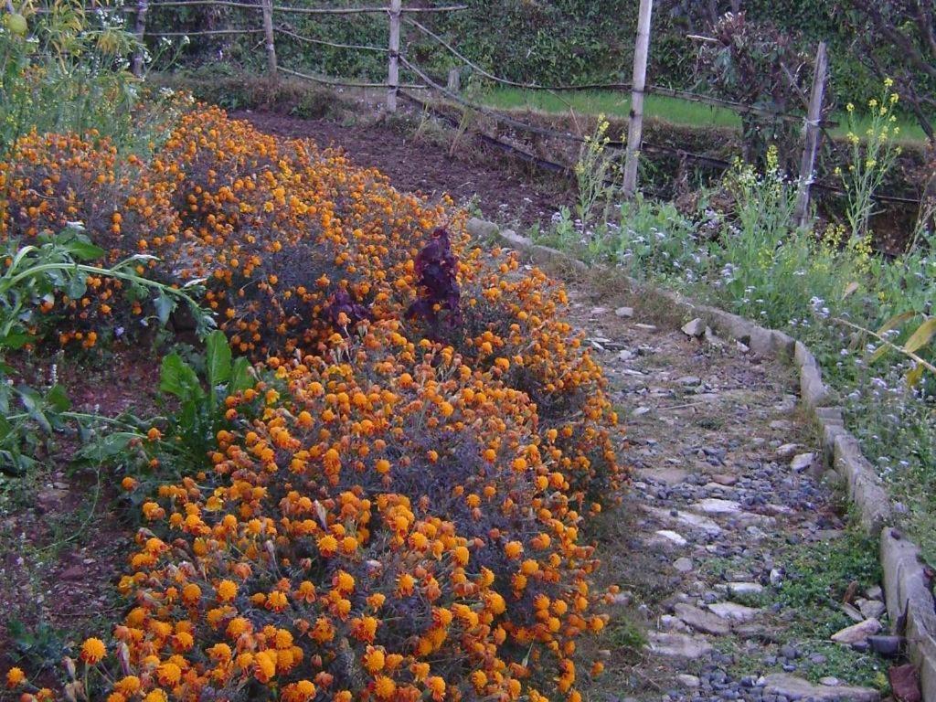 Mystique Highland Resort Pokhara Exterior foto